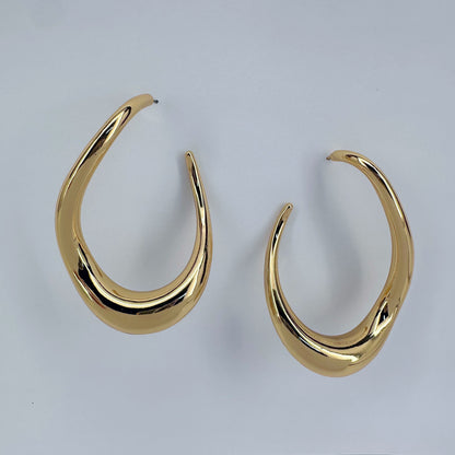 Twisted Oval Hoop Earrings