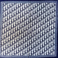 Cotton Square Scarf Blue Initial D Print